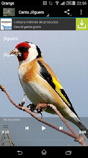 How to mod goldfinch lastet apk for laptop