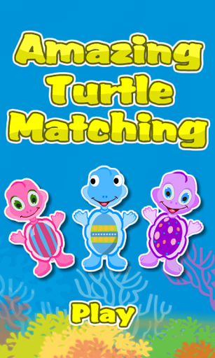 Matching Game-Amazing Turtles