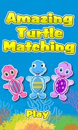 Matching Game-Amazing Turtles poster 1