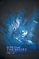 My Walk Through The Valley cover