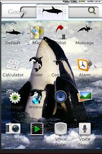 Orca Theme