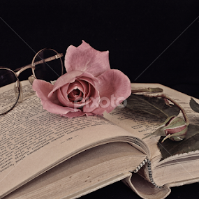 by Katarina Jonjic - Artistic Objects Still Life