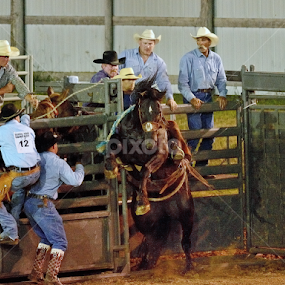 Awkward Entrance by Stephen Beatty - News & Events Entertainment