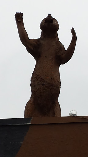Bear Statue on Nakoma