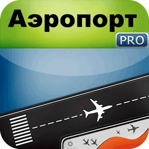 Domodedevo Moscow Airport PRE logo