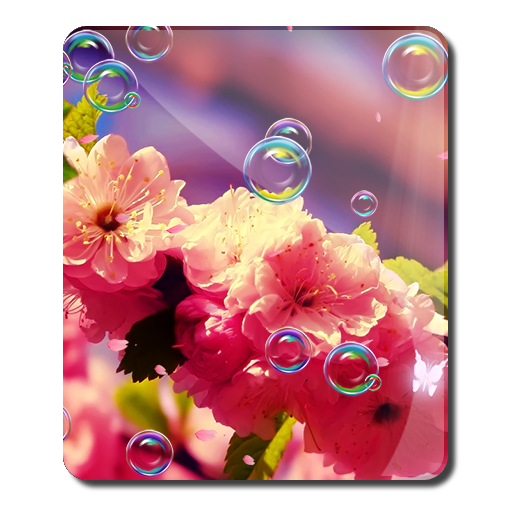 Spring Floral Live Wallpaper 個人化 App LOGO-APP開箱王