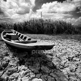 by Asher Jr Salvan - Black & White Landscapes
