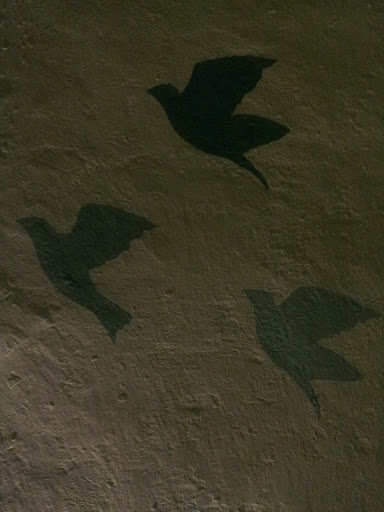 Birds On Wall