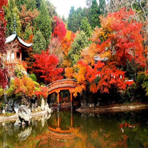 Autumn in Japan Wallpapers HD 娛樂 App LOGO-APP開箱王