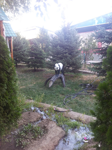 Bahar Panda
