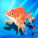 goldfish scooping　β logo