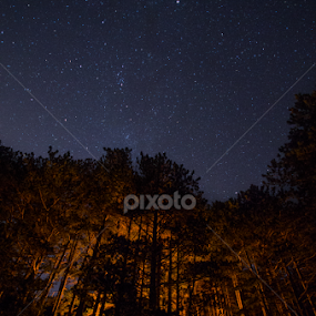 by Luka Popadić - Landscapes Forests