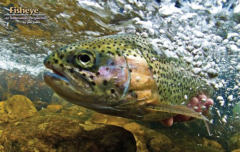 Southwest Fly Fishing Screenshots 9