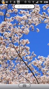 Download PNGCamera APK