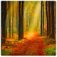 Forest Live Wallpaper APK