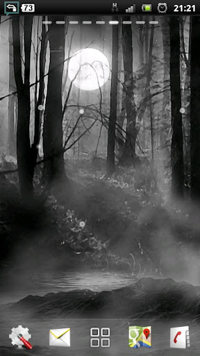 misty forest at night LWP