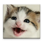 Cover Image of Baixar Cat Sounds 3.8.20 APK