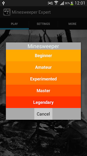 Minesweeper Expert