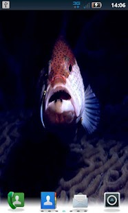 Free Download Color Fish LWP No3 Pro APK