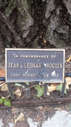 Jean & Leonard Boudin Memorial Tree