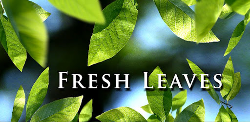 Fresh Leaves 1.6