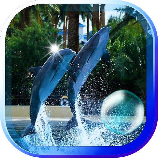 Dolphines Gallery HQ LWP 個人化 App LOGO-APP開箱王