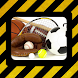 Watch Sports TV Online