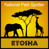 NP Spotter Etosha