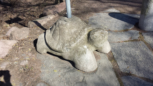 Sapokka Impaled Turtle