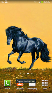Horses Live Wallpaper Screenshots 21