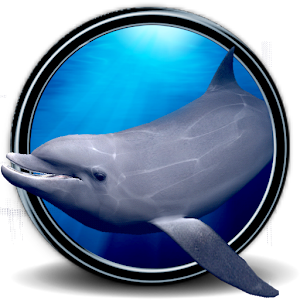 Dolphins Real 3D logo