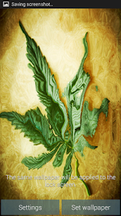 download Marijuana Leaf Wallpaper free
