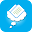 DreamExam Download on Windows
