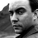Dave Matthews Music Videos logo
