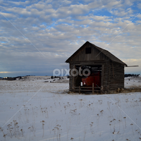 Lonely Barn by Selah Madland - Buildings & Architecture Other Exteriors