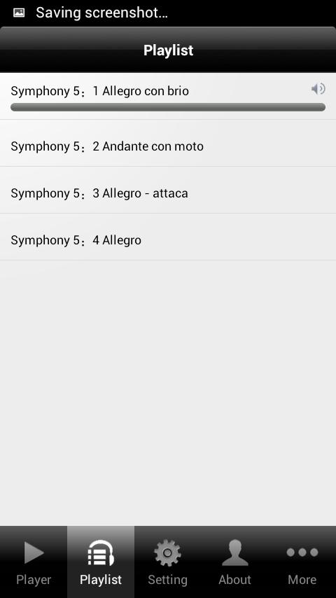 Beethoven Symphony 5 Screen 2