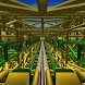 Virtual Roller Coaster Garden