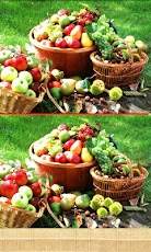 ����� �������