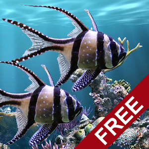 The real aquarium - LWP logo