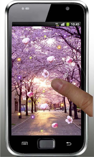 【免費個人化App】Sakura Trees HD live wallpaper-APP點子