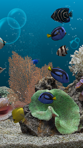 免費下載個人化APP|Marine Aquarium 3.2 PRO app開箱文|APP開箱王