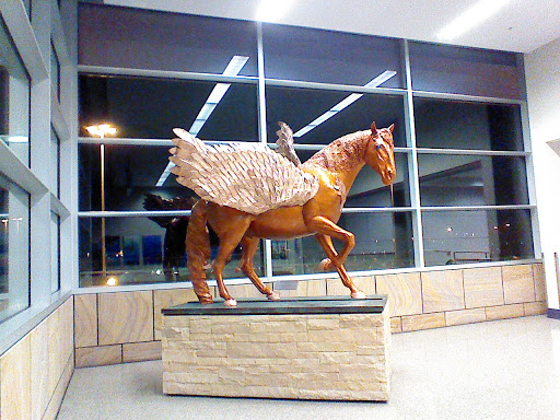 Tucson Airport Pegasus