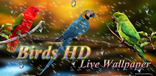 Birds HD Live Wallpaper by AppTrends APK