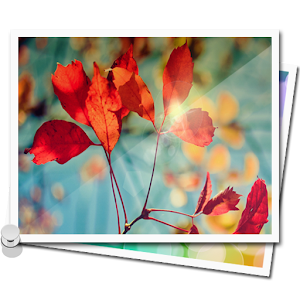 Image Gallery 3.0