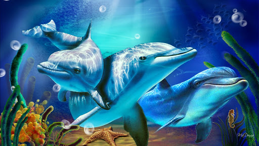 Dolphin HD Live Wallpaper