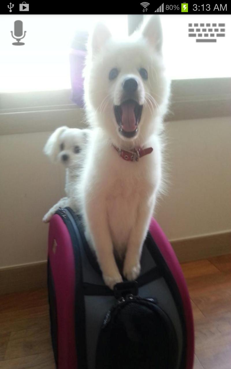 Talkidog Pro Screen 2