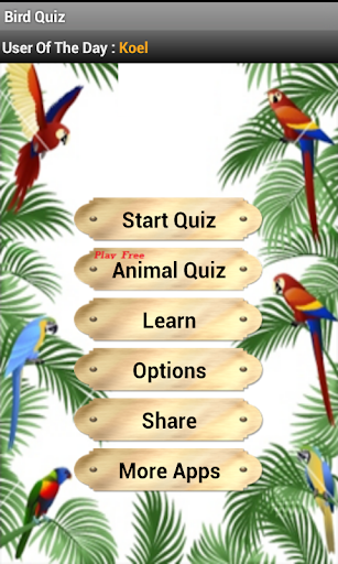 免費下載解謎APP|Birds Quiz app開箱文|APP開箱王
