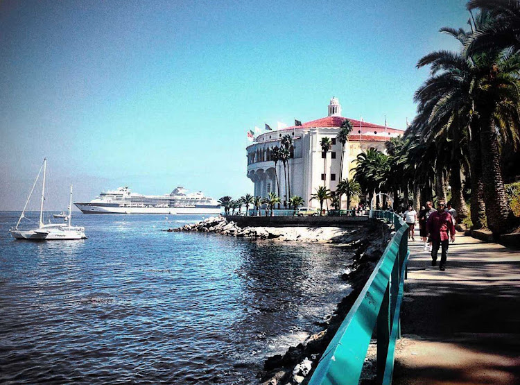 Celebrity Millennium moored in Southern California with the Catalina Casino on the right.