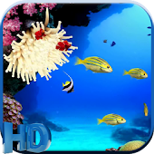 Aqua Life Live Wallpaper - Android Apps on Google Play