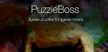 Frog Jigsaw Puzzles Demo APK